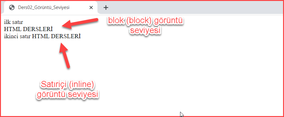 Görüntü Seviyesi