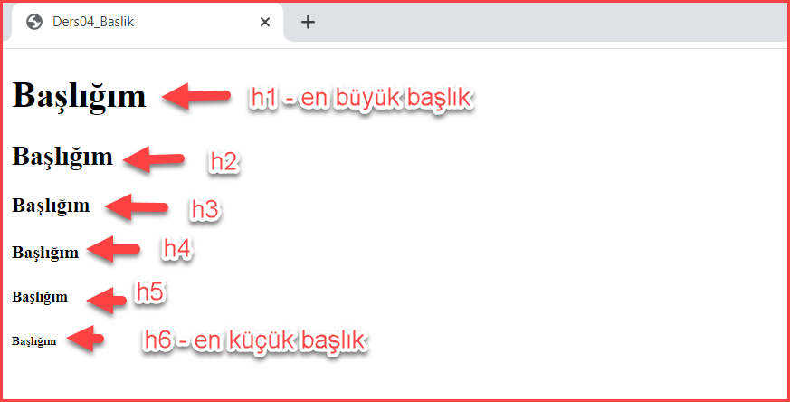 Paragraf Etiketi